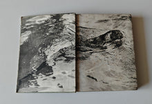 Load image into Gallery viewer, Nature by Day by Arthur R. Thompson 1934 Reprint Vintage Wildlife Book