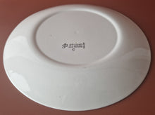 Load image into Gallery viewer, Vintage J & G Meakin Capri Replacement Plate 70's Retro Dining , 23cm diameter