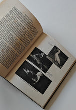 Load image into Gallery viewer, Nature by Day by Arthur R. Thompson 1934 Reprint Vintage Wildlife Book