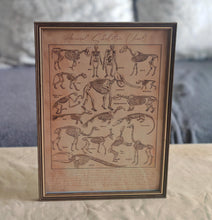 Load image into Gallery viewer, Vintage Style Animal Skeleton Chart Print in A4 Wooden Frame with Gold Border – Natural History Wall