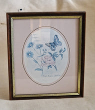 Load image into Gallery viewer, Vintage Botanical Flower Butterfly Print Small Picture Frame ‘Purple Emperor; Wooden Gold Tone E