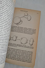 Load image into Gallery viewer, Theories Of Everything The Quest For Ultimate Explanation John D Barrow Pb.