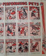Load image into Gallery viewer, Vintage Circus Print – Jolly Joey and His Performing Pets Double Page Book Plate | 50.5 x 35 cm | An