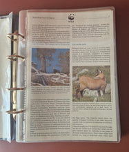 Load image into Gallery viewer, WWF World Wildlife Fund Album Folder + Info Cards , No Stamps