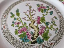 Load image into Gallery viewer, Royal Grafton Vintage Ceramic Round Plate Indian Tree Older Pattern Floral Flower Plant 24cm Diamet