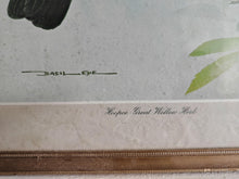 Load image into Gallery viewer, Vintage Bird Print Hoopoe - Great Willow Herb by Basil Ede , Framed Nature Illustration , 39x28.5cm