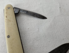 Load image into Gallery viewer, Vintage Antique Wigfall & Co Pocket Knife , Cream Plastic Handle , Double Blade