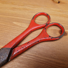 Load image into Gallery viewer, Antique Pruning Scissors Shears Kutrite Sheffield England Red painted handles gardening tool