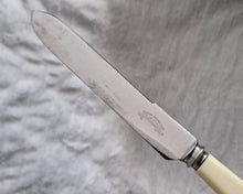 Load image into Gallery viewer, A fine Vintage Bread or Cake knife with cream colour resin handle ~ For Wedding Cake, Christmas Cake, Celebration Cake Slice, Firth Stainless Steel Made In Sheffield England, 25.5cm long