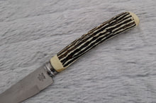 Load image into Gallery viewer, Vintage Ross Stainless Steel Foreign Knife HOLLOW GROUND Bakelite Faux Horn Handle, 24cm long