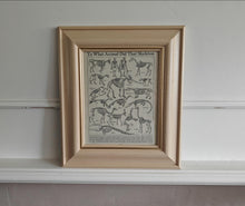 Load image into Gallery viewer, Vintage Framed Skeleton Print To What Animal Did That Skeleton Belong? Educational Zoological Anatom