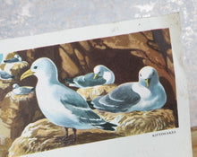 Load image into Gallery viewer, Vintage Hotel B.I Breakfast Menu Card From Uganda, Kittiwakes Bird Theme, Dated Monday 24th May 1971