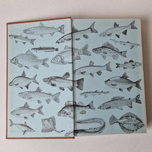 Load image into Gallery viewer, The New ABC of Fishing Vintage Hardback Book 1967 Andre Deutsch Collin Willock