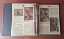 Load image into Gallery viewer, WWF World Wildlife Fund Album Folder + Info Cards , No Stamps