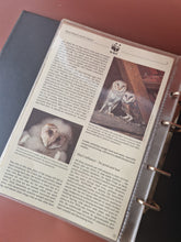 Load image into Gallery viewer, WWF World Wildlife Fund Album Folder + Info Cards , No Stamps