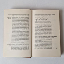 Load image into Gallery viewer, The New ABC of Fishing Vintage Hardback Book 1967 Andre Deutsch Collin Willock