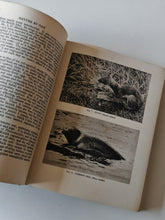 Load image into Gallery viewer, Nature by Day by Arthur R. Thompson 1934 Reprint Vintage Wildlife Book