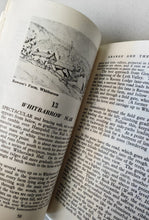 Load image into Gallery viewer, Vintage Guidebook: Grange and the Cartmel Fells 1960 by E. Abercrombie 20 Walks