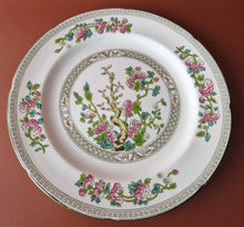 Load image into Gallery viewer, Royal Grafton Vintage Ceramic Round Plate Indian Tree Older Pattern Floral Flower Plant 24cm Diamet
