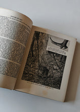 Load image into Gallery viewer, Nature by Day by Arthur R. Thompson 1934 Reprint Vintage Wildlife Book