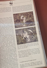 Load image into Gallery viewer, WWF World Wildlife Fund Album Folder + Info Cards , No Stamps
