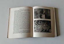 Load image into Gallery viewer, Nature by Day by Arthur R. Thompson 1934 Reprint Vintage Wildlife Book