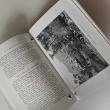 Load image into Gallery viewer, Yeoward Line 1930s Souvenir Guide Book - In Search Of The Sun, Canary Islands Cr