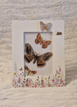 Load image into Gallery viewer, Vintage Print Moth Butterfly Cut-out Decoupage Floral Picture Frame Wooden Frame