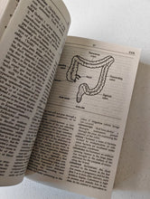Load image into Gallery viewer, Baillière's Nurses' Dictionary 22nd Edition Barbara F. Weller Medical Nursing