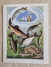 Load image into Gallery viewer, Vintage Illustrated Book Plate Page Colour Lithograph Print 2 School Girl Talking To A Old Woman & G