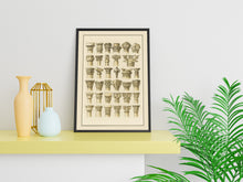 Load image into Gallery viewer, Architectural Column Capitals Illustration – Vintage Wall Art Digital Download | A4 Size | PDF & JPEG | Instant Download