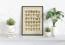Load image into Gallery viewer, Architectural Column Capitals Illustration – Vintage Wall Art Digital Download | A4 Size | PDF & JPEG | Instant Download