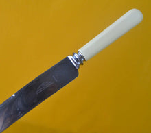 Load image into Gallery viewer, Vintage  Kitchen Cutting  Knife with Stainless Steel  Blade and Plastic Handle 1980s, K Bright Ltd, Sheffield , England