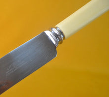 Load image into Gallery viewer, Vintage  Kitchen Cutting  Knife with Stainless Steel  Blade and Plastic Handle 1980s, K Bright Ltd, Sheffield , England