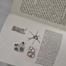Load image into Gallery viewer, THE HUMAN BODY by TREVOR HEATON 1928 Reprinted Vintage Book George G Harrap & Co Ltd