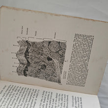 Load image into Gallery viewer, THE HUMAN BODY by TREVOR HEATON 1928 Reprinted Vintage Book George G Harrap & Co Ltd