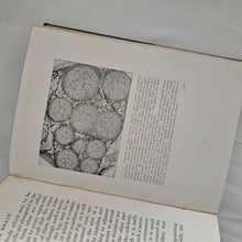 Load image into Gallery viewer, THE HUMAN BODY by TREVOR HEATON 1928 Reprinted Vintage Book George G Harrap & Co Ltd