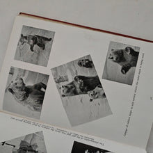 Load image into Gallery viewer, New Ways in Photographic Printing Ross Inglis Lewis & J. Lloyd Vintage Book