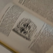 Load image into Gallery viewer, TEACH YOURSELF ASTRONOMY by David S Evans 1957 Vintage Book