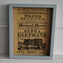 Load image into Gallery viewer, Vintage advertisement for Polito's Menagerie, a traveling exhibition of exotic animals picture frame, Genuine vintage book plate print