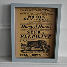 Load image into Gallery viewer, Vintage advertisement for Polito's Menagerie, a traveling exhibition of exotic animals picture frame, Genuine vintage book plate print