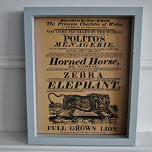 Load image into Gallery viewer, Vintage advertisement for Polito's Menagerie, a traveling exhibition of exotic animals picture frame, Genuine vintage book plate print