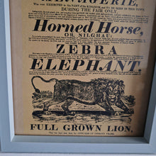Load image into Gallery viewer, Vintage advertisement for Polito's Menagerie, a traveling exhibition of exotic animals picture frame, Genuine vintage book plate print