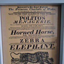 Load image into Gallery viewer, Vintage advertisement for Polito's Menagerie, a traveling exhibition of exotic animals picture frame, Genuine vintage book plate print