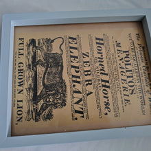 Load image into Gallery viewer, Vintage advertisement for Polito's Menagerie, a traveling exhibition of exotic animals picture frame, Genuine vintage book plate print