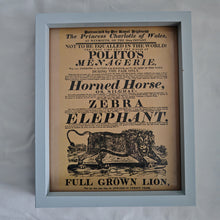 Load image into Gallery viewer, Vintage advertisement for Polito's Menagerie, a traveling exhibition of exotic animals picture frame, Genuine vintage book plate print