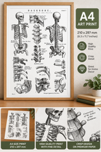 Load image into Gallery viewer, Vintage Human Anatomy Backbone Spine Skeleton Medical Diagram A4 Art Print