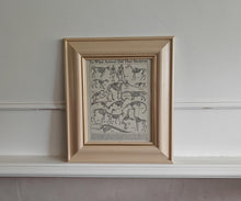 Load image into Gallery viewer, Vintage Framed Skeleton Print To What Animal Did That Skeleton Belong? Educational Zoological Anatom