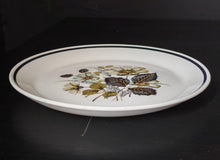 Load image into Gallery viewer, Vintage Johnson Brothers Wildmoor Side Plate 18cm Diameter Made in England