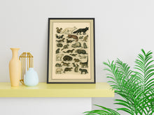 Load image into Gallery viewer, Wild Animal Illustrations Wall Art | A4 Printable Digital Download | Vintage Nature Animal Poster | Instant Download PDF JPEG File